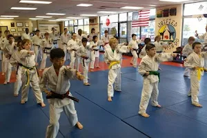 Academy of Martial Arts image