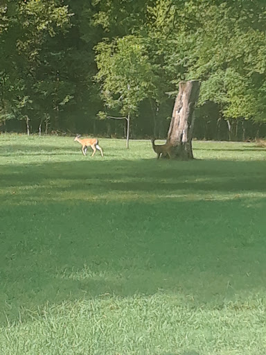 State Park «Long Hunter State Park», reviews and photos, 2910 Hobson Pike, Hermitage, TN 37076, USA