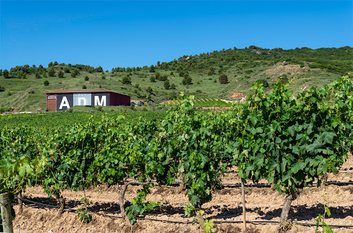 Bodegas Cerrolaza en Logroño