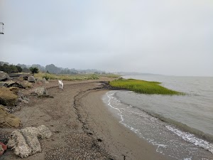 Railroad Park - photo 19