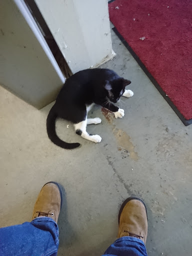 Air Conditioning Contractor «Midway Services», reviews and photos, 4677 118th Ave N, Clearwater, FL 33762, USA