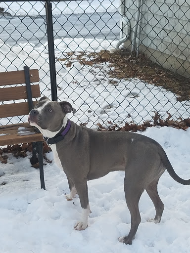 Pet Supply Store «PetSmart», reviews and photos, 114 Commerce Way, Woburn, MA 01801, USA