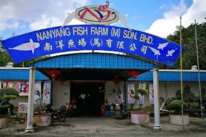NanYang Fish Farm (M) Sdn. Bhd. image