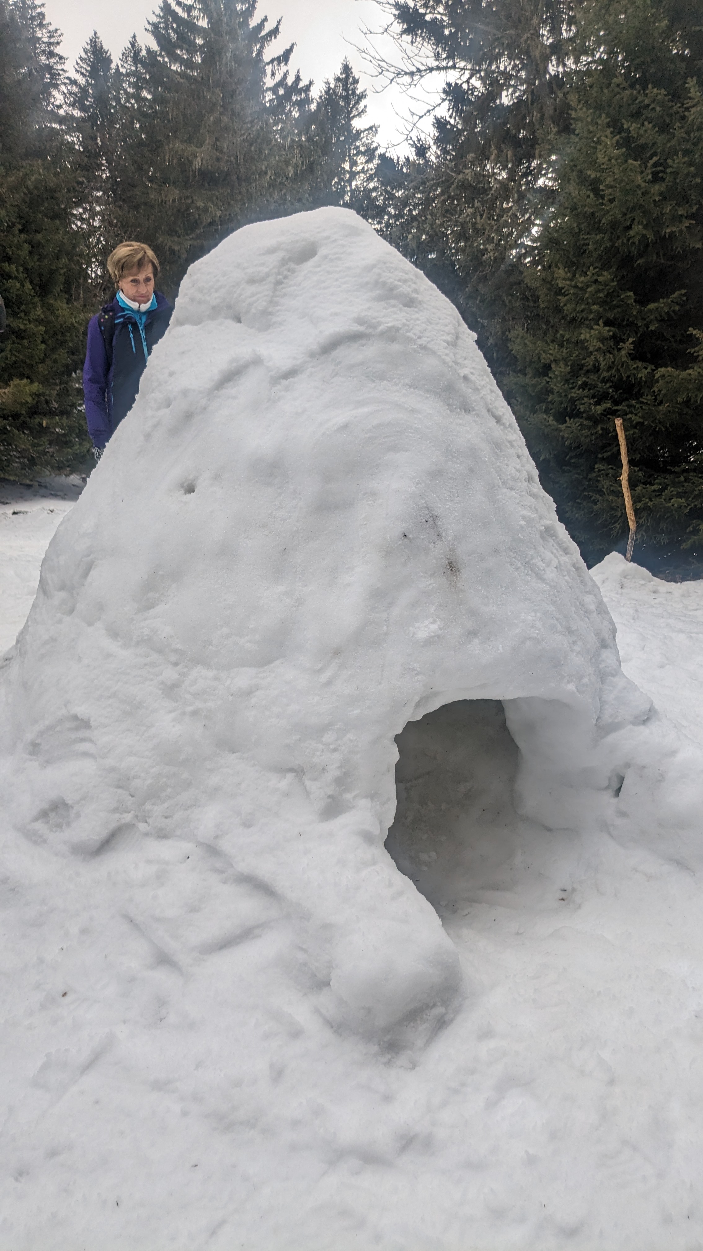 Photo n° 2 de l'avis de Geneviève.A fait le 17/03/2024 à 16:05