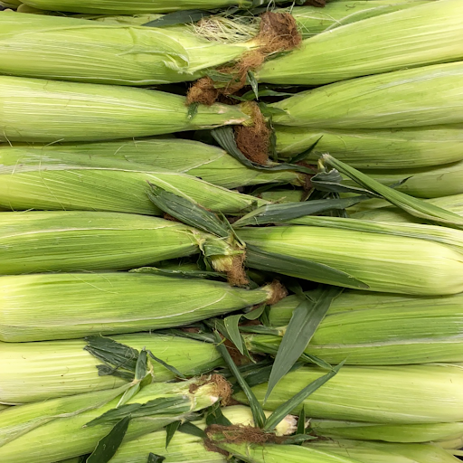 Natural Foods Store «First Alternative Natural Foods Co-Op - North», reviews and photos, 2855 NW Grant Ave, Corvallis, OR 97330, USA