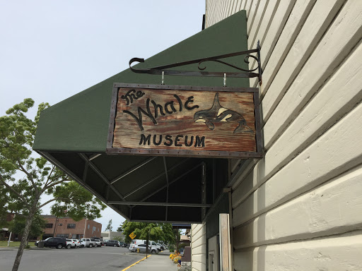 Museum «The Whale Museum», reviews and photos, 62 1st St, Friday Harbor, WA 98250, USA