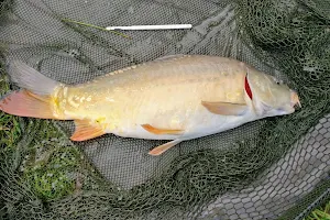 Claremont Farm fishery image