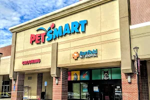 PetSmart image