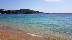 Xenia beach'in fotoğrafı doğal alan içinde bulunmaktadır