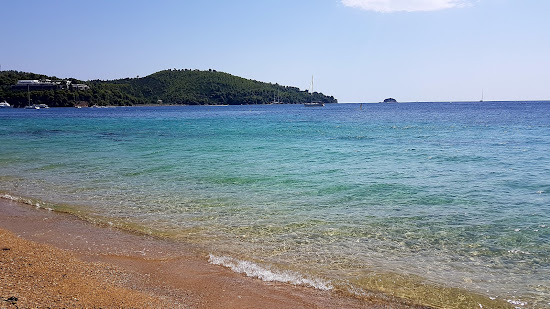 Xenia beach