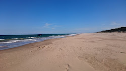 Zdjęcie Mcloughlins Beach z powierzchnią turkusowa czysta woda