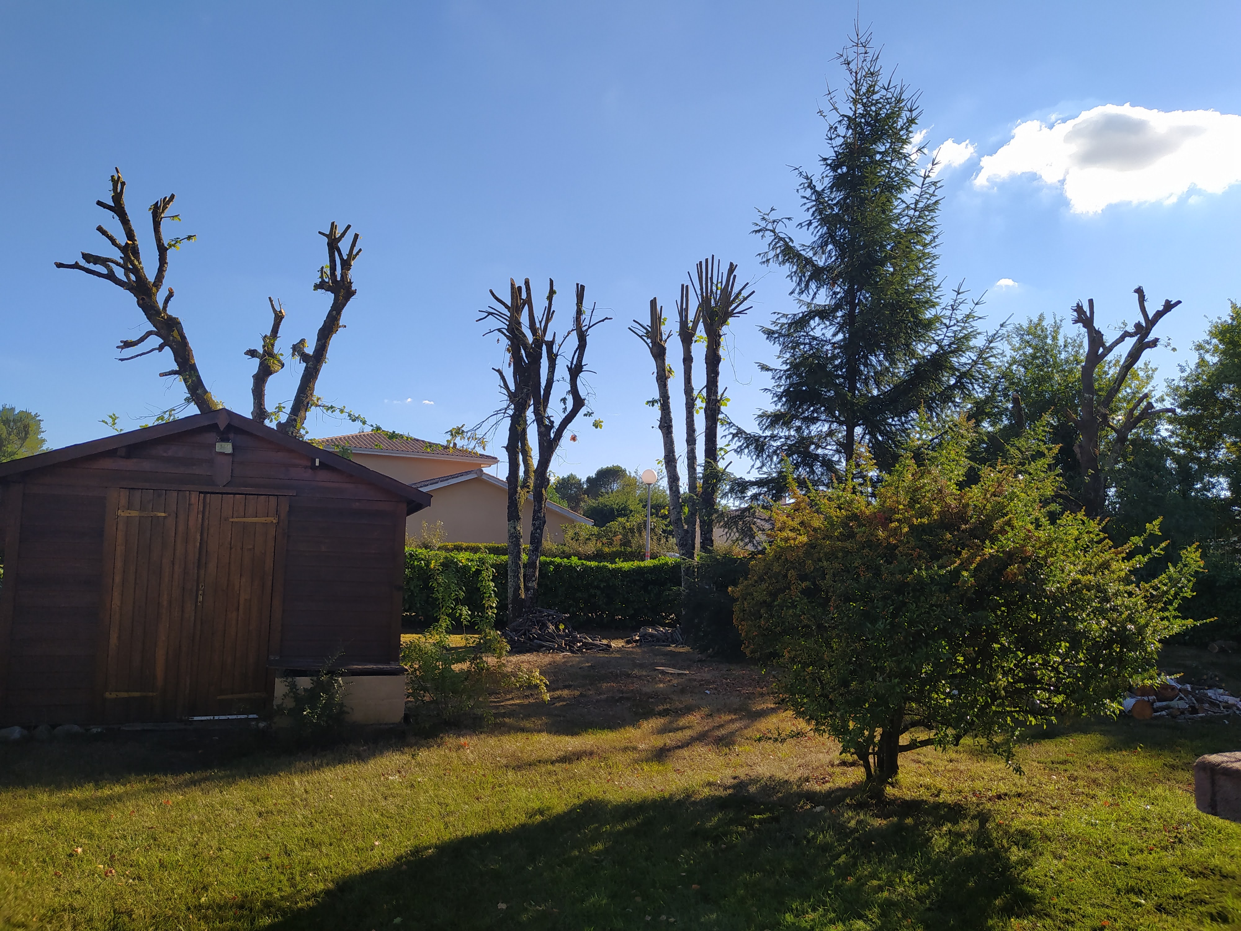 Photo n° 3 de l'avis de Gerard.e fait le 23/08/2022 à 17:04