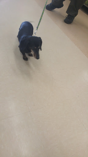 Pet Supply Store «Petco Animal Supplies», reviews and photos, 244 Pioneer Trail, Chaska, MN 55318, USA