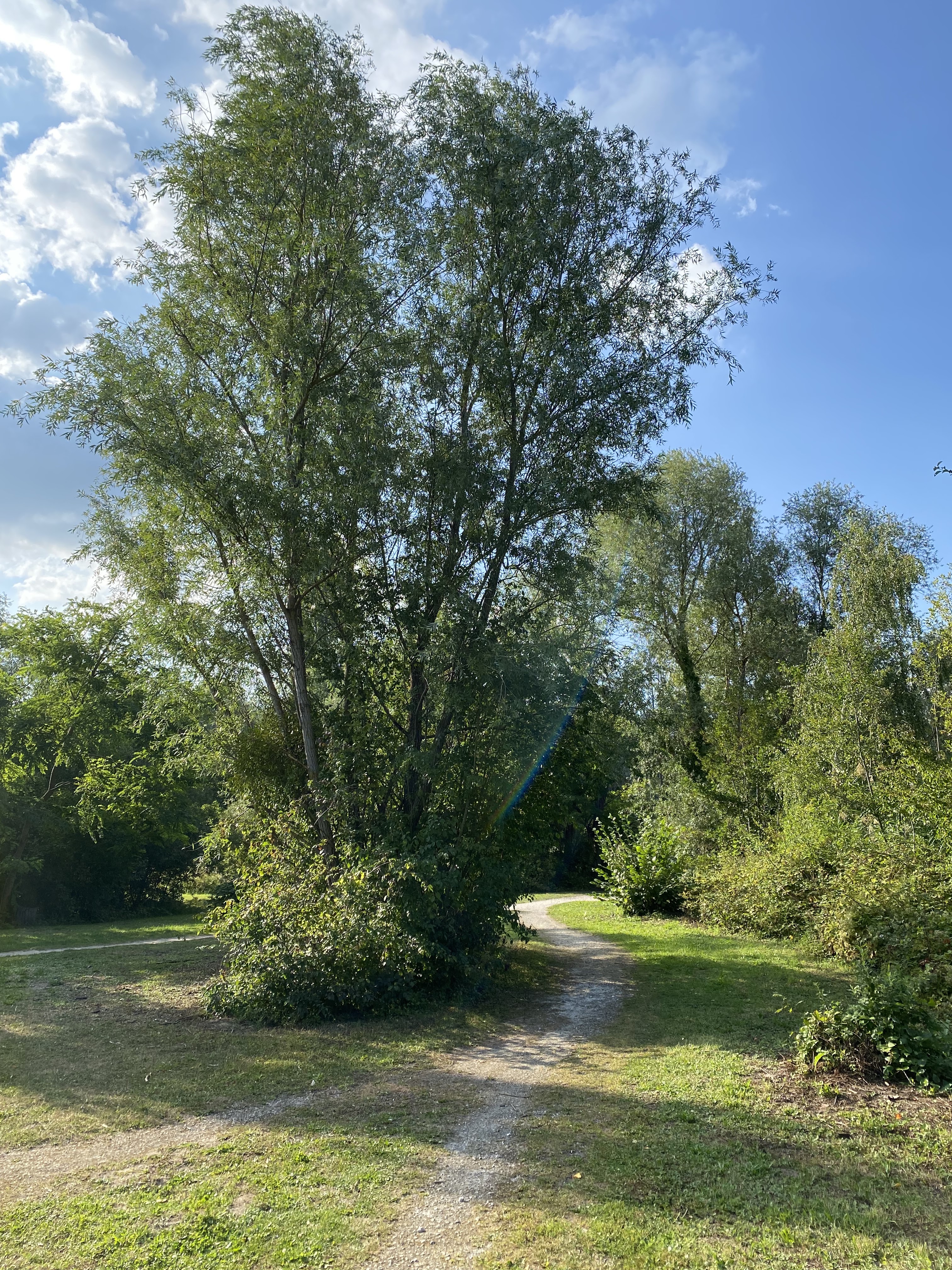 Photo n° 3 de l'avis de Twilly.U fait le 31/08/2021 à 18:01