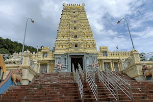 Arulmigu Balathandayuthapani Temple image