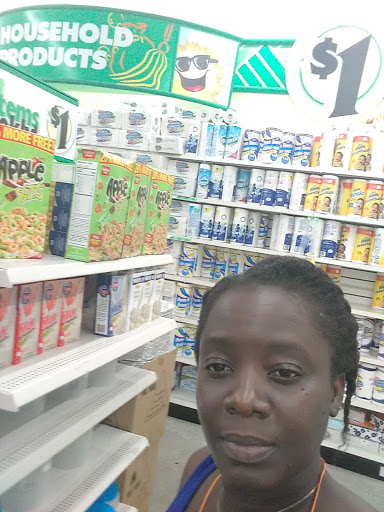 Dollar Store «Dollar Tree», reviews and photos, 16930 US-441 c, Mt Dora, FL 32757, USA