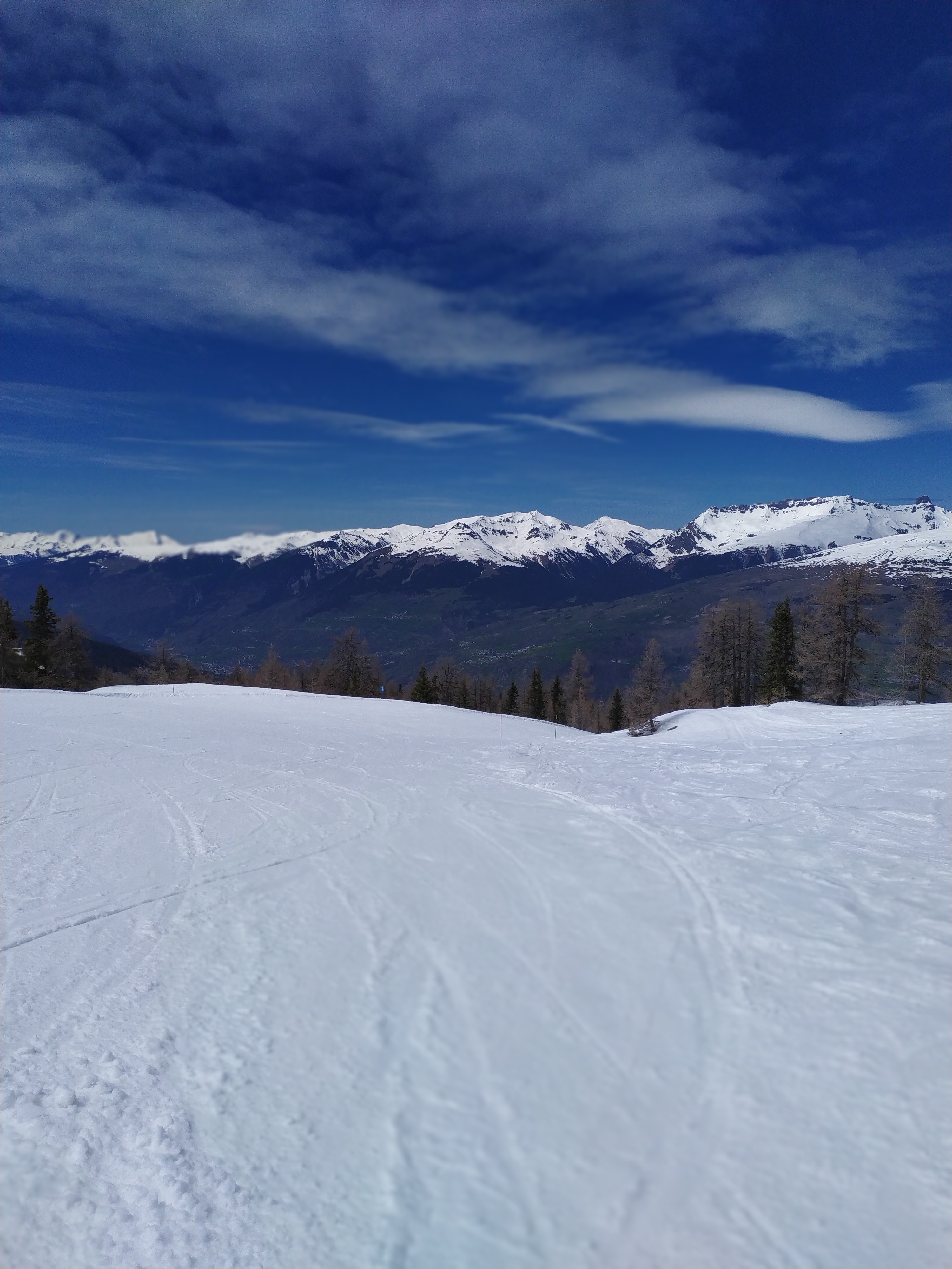Photo n° 31 de l'avis de Christelle.E fait le 23/04/2023 à 16:43