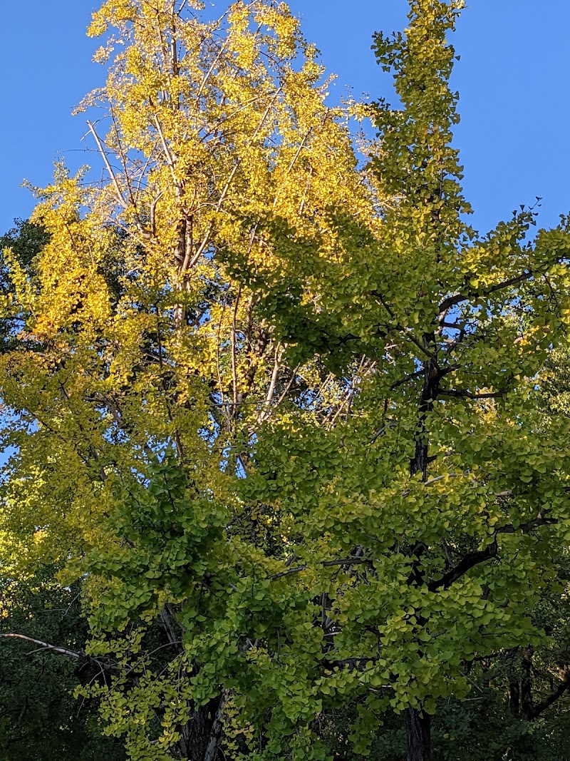 尼崎市立猪名川公園詰所