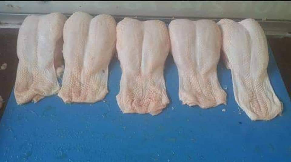 Poultry Farouq