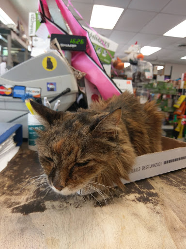 Pet Supply Store «Asheville Pet Supply», reviews and photos, 1451 N Merrimon Ave, Asheville, NC 28804, USA