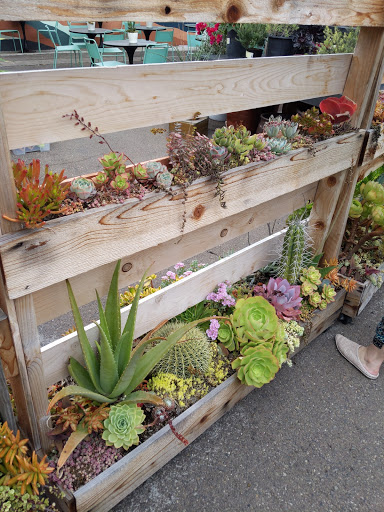 Coffee Shop «Communal Coffee», reviews and photos, 2335 University Ave, San Diego, CA 92104, USA