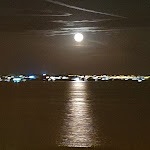 Photo n°5 de l'avis de Nicola.r fait le 04/09/2020 à 17:59 sur le  Orchidea Marina à Torre Lapillo