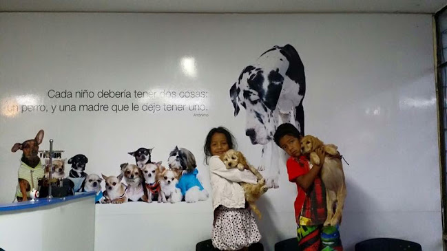 Veterinaria Perros y Gatos - Quito
