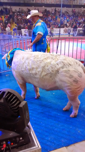 Hockey Club «Muskegon Lumberjacks Hockey», reviews and photos