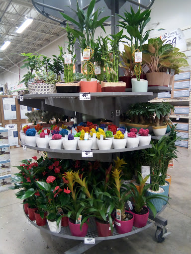 Home Improvement Store «The Home Depot», reviews and photos, 3730 Sun City Center Blvd, Ruskin, FL 33573, USA