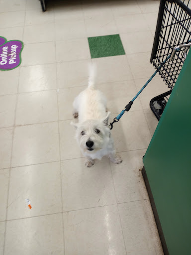 Pet Supply Store «Pet Supplies Plus», reviews and photos, 1665 VFW Pkwy, West Roxbury, MA 02132, USA