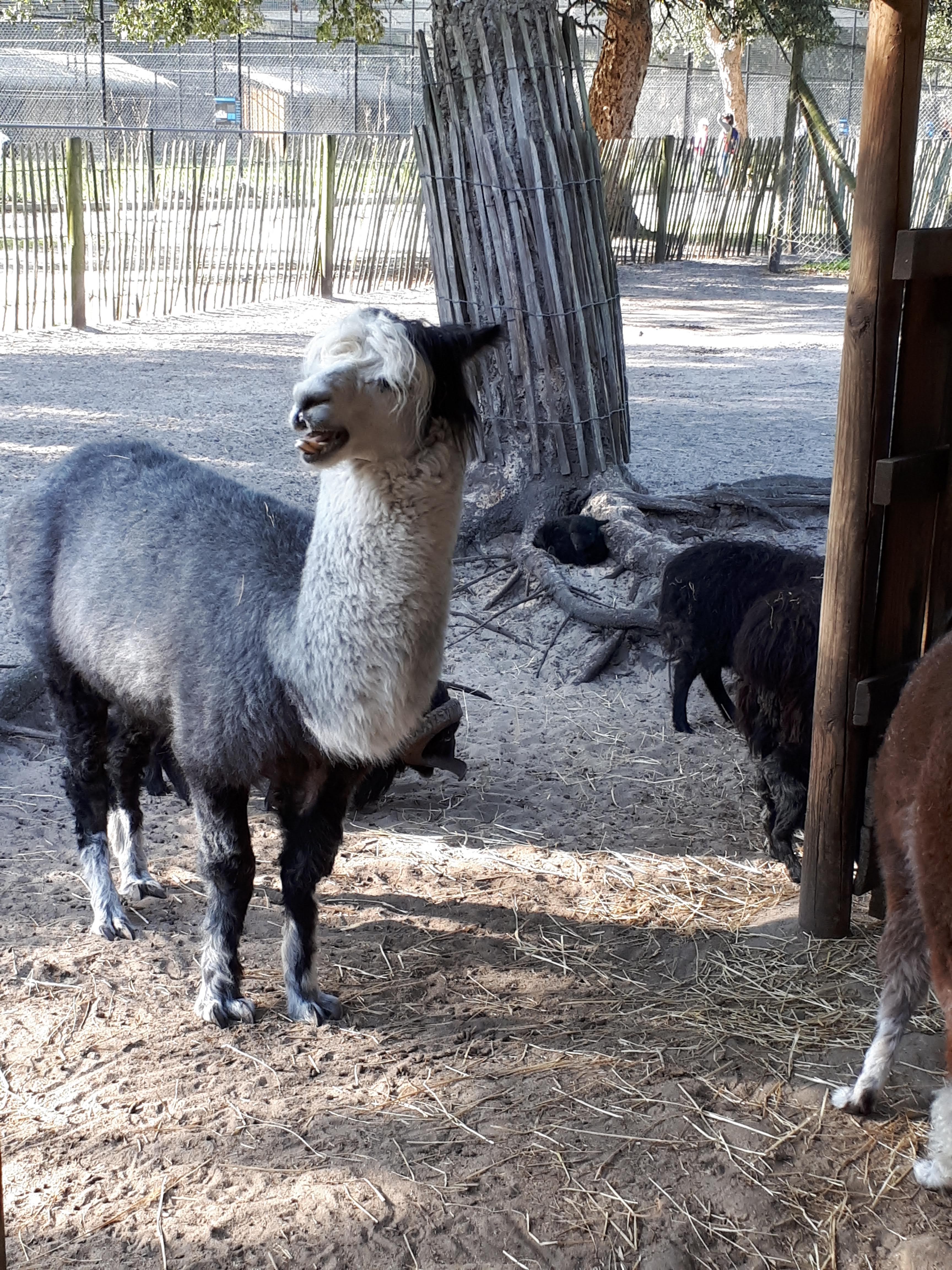 Photo n° 6 de l'avis de Anne. fait le 03/04/2019 à 08:39
