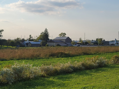 Phillips' Farm