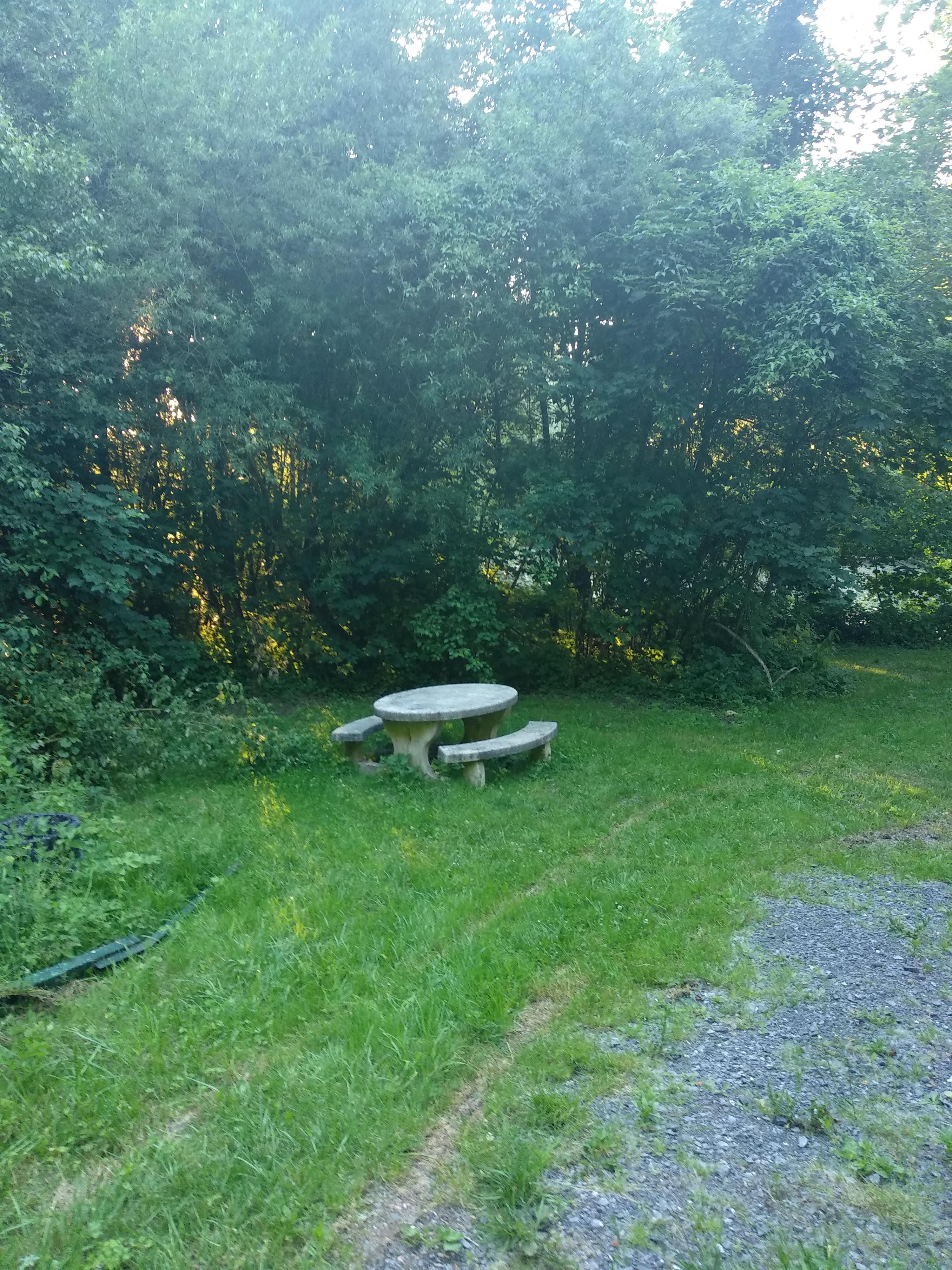 Photo n° 17 de l'avis de Taras.a fait le 17/06/2019 à 05:19