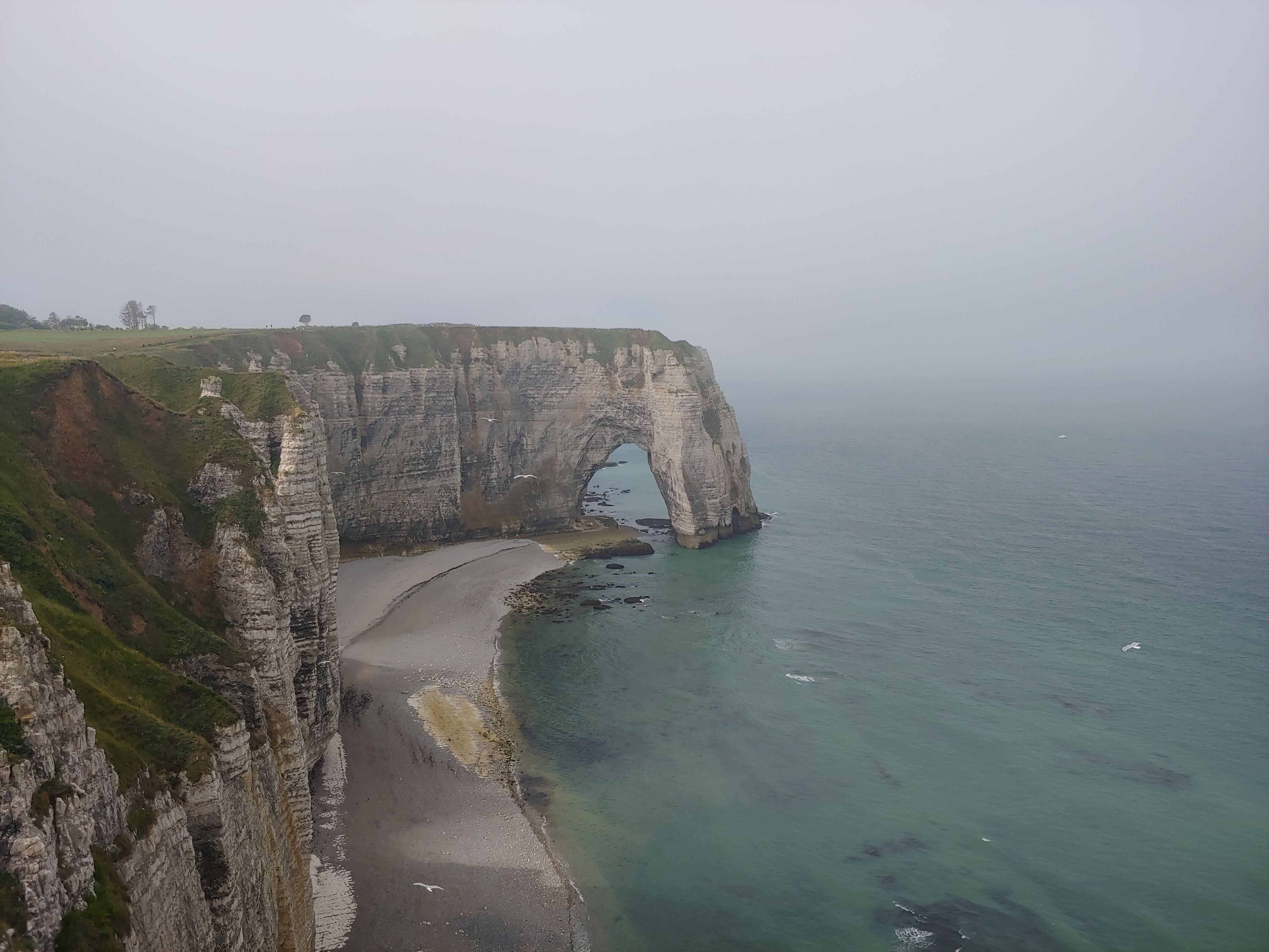 Photo n° 6 de l'avis de Janne.� fait le 27/06/2023 à 18:09
