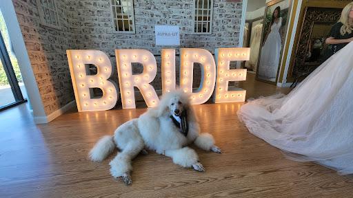 Bridal Shop «Bridal Connection», reviews and photos, 923 N Loop 1604 E #108, San Antonio, TX 78232, USA