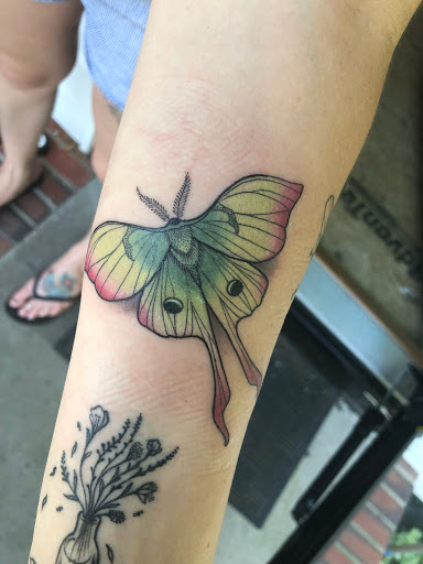 Explore snake sleeve tattoo ideas, creative tattoo ideas in Myrtle Beach, available at Elite Ink Tattoos of Myrtle Beach