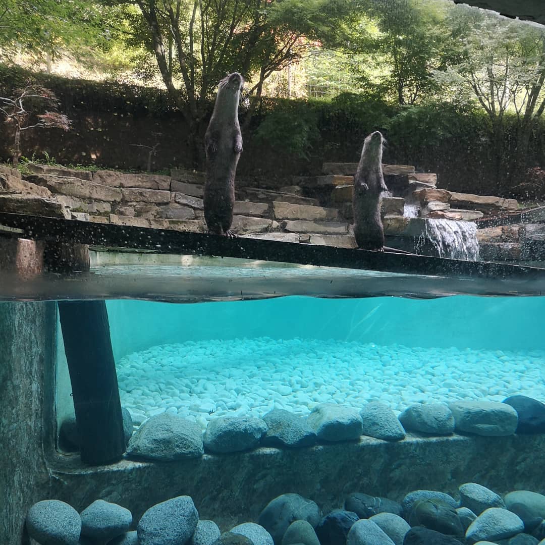 Photo n° 8 de l'avis de Xxx.x fait le 14/08/2020 à 21:01