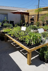 Living Roots Eco Design & Plant Nursery - Photo 6 - Car repair in St. Petersburg, FL, St. Petersburg