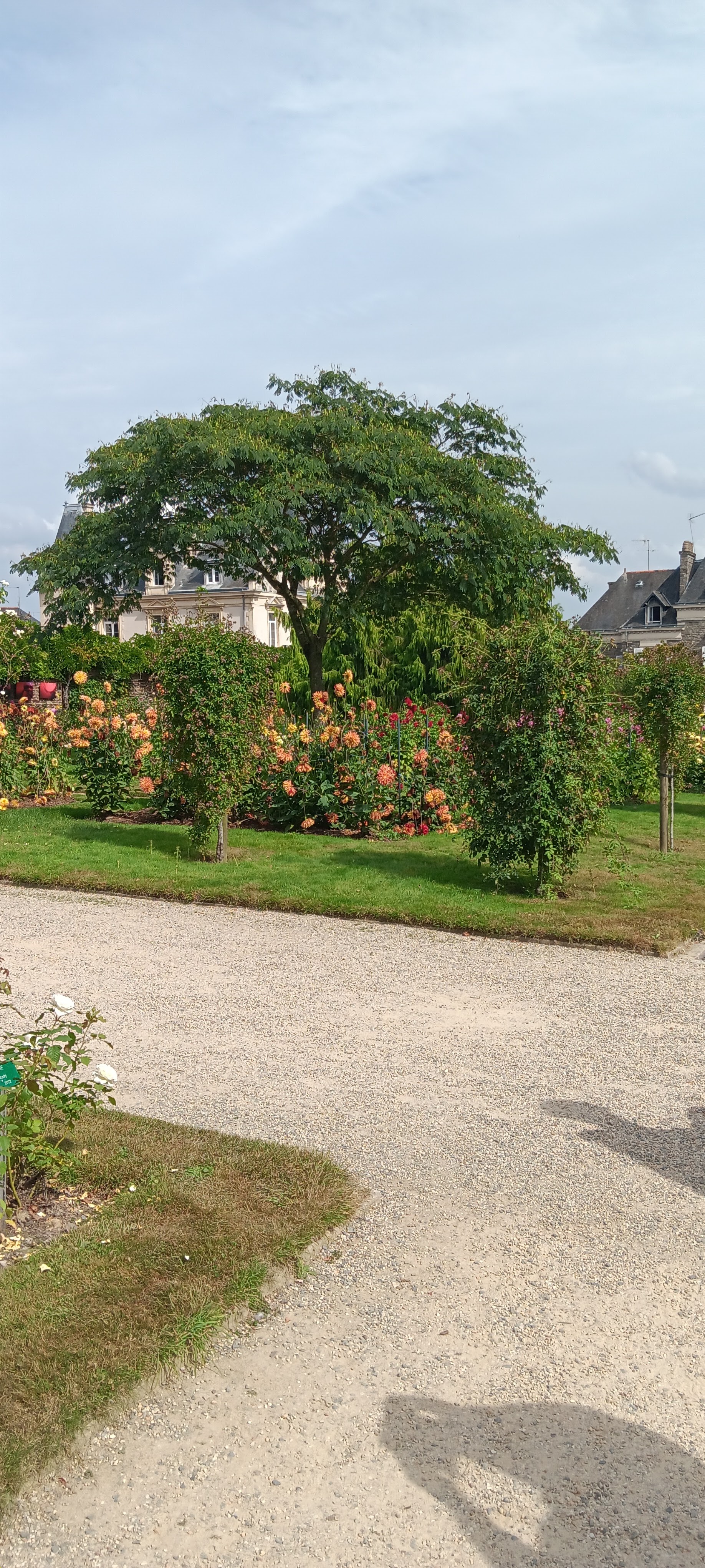 Photo n° 14 de l'avis de Cyrille.a fait le 29/09/2023 à 09:16