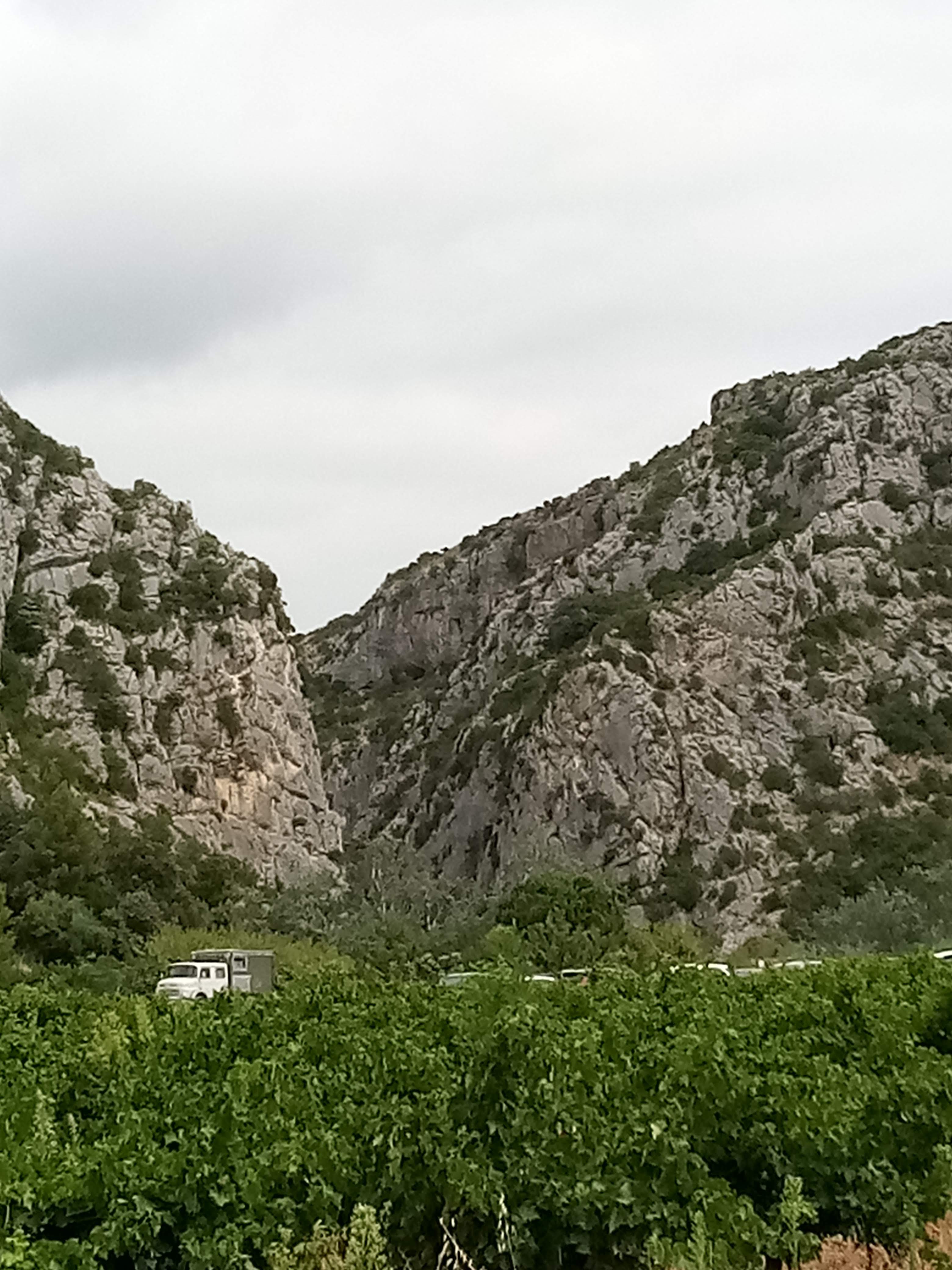 Photo n° 1 de l'avis de Sardin.a fait le 19/08/2020 à 13:09