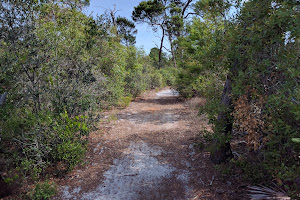 Blazing Star Preserve