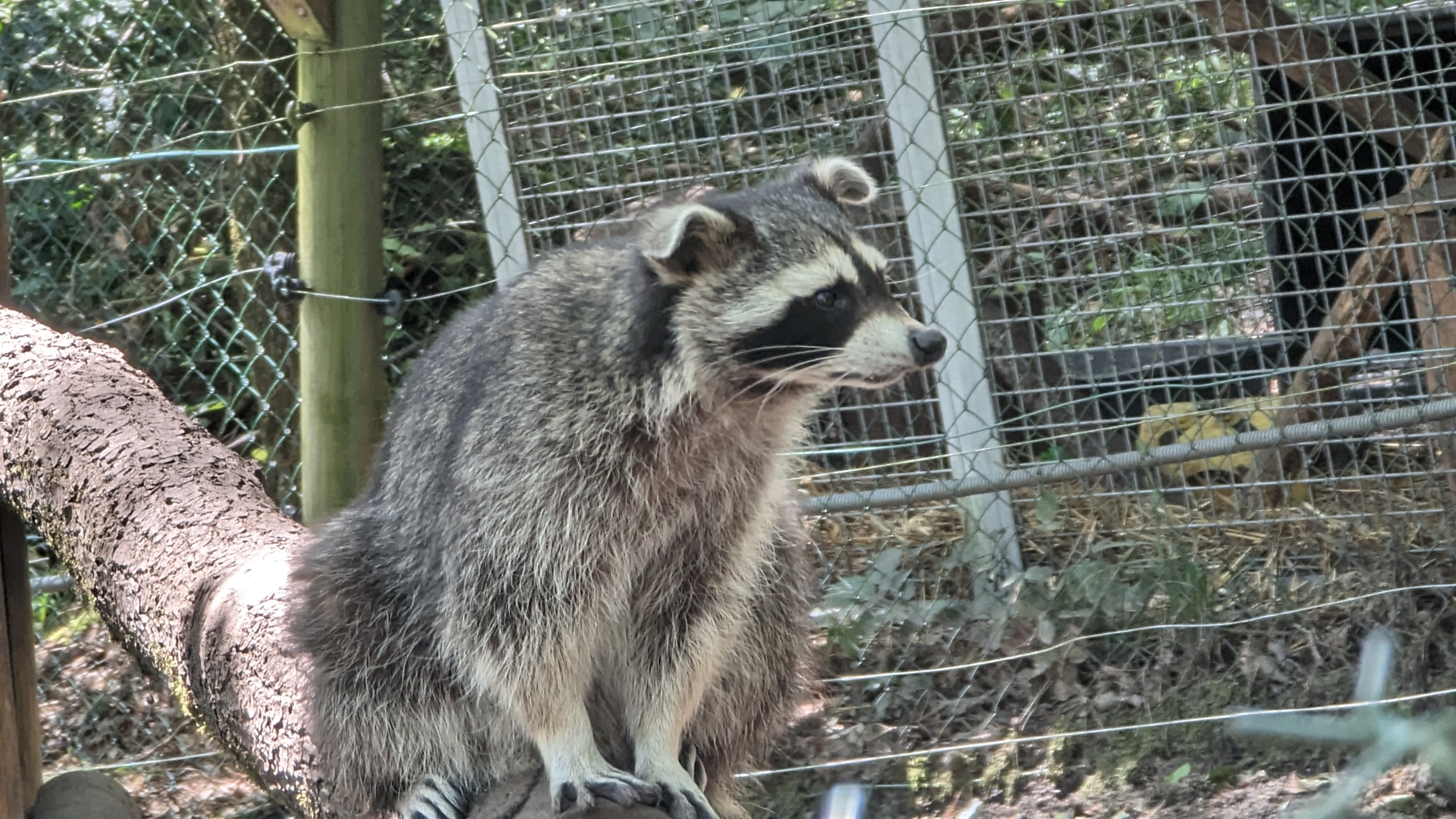 Photo n° 1 de l'avis de Jacques.L fait le 11/08/2023 à 14:47