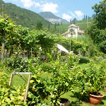 Photo n°1 de l'avis de Uwe.p fait le 28/07/2019 à 20:45 sur le  Gartenheim à Tramin an der Weinstraße