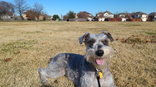 Park «Neighborhood Park - Frank Beverly Park», reviews and photos, 7112 Quarry Chase Trail, Plano, TX 75025, USA