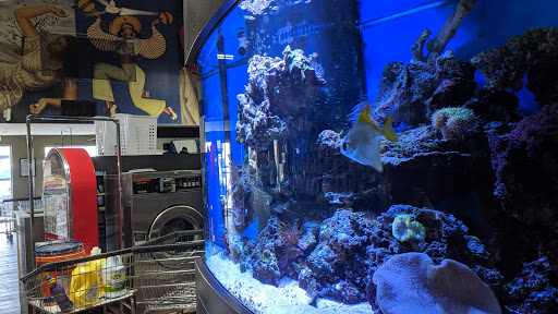 Laundromat «Laundry World», reviews and photos, 500 W 29th St, Hialeah, FL 33012, USA