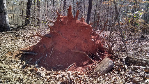 National Park «Chattahoochee River National Recreation Area - Allenbrook Unit», reviews and photos, 227 S Atlanta St, Roswell, GA 30075, USA