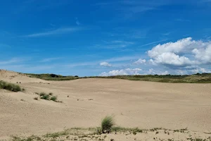 Merthyr Mawr Nature Reserve image