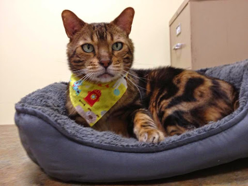 104 Lawson Dr, Georgetown, KY 40324, USA