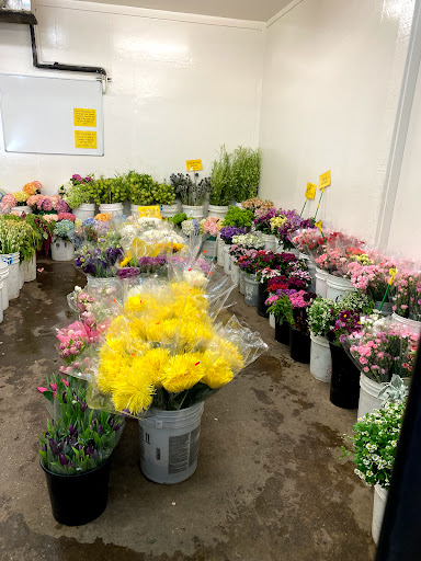 Garden Center «Repetto Florist and Nursery», reviews and photos, 12331 San Mateo Rd, Half Moon Bay, CA 94019, USA