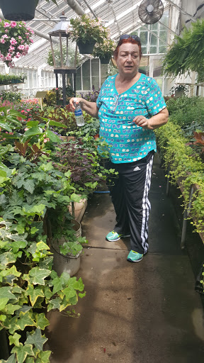 Florist «Carlson Florist», reviews and photos, 625 Dobbs Ferry Rd, White Plains, NY 10607, USA